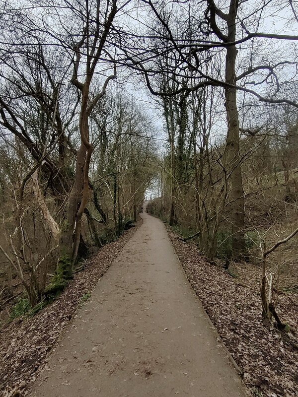 Path In The Severn Valley Country Park © Mat Fascione Cc By Sa 2 0