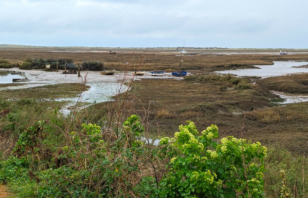 Saltmarsh near the White Horse at... © Richard Humphrey cc-by-sa/2.0 ...