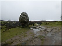 SK2462 : The Cork Stone near Birthover, Derbyshire by Jeremy Bolwell