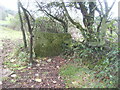 ST8890 : Stone stile, hidden, near Doughton GS9366 by Cotswold Voluntary Wardens