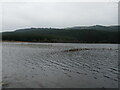 NR8798 : Loch Leathan by Jonathan Thacker