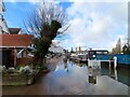SU7682 : A flooded Thames Path in Henley on Thames by Steve Daniels