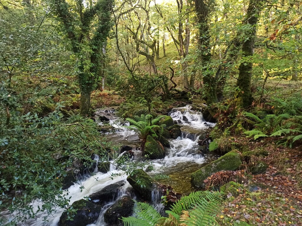 East Okement River © Dani cc-by-sa/2.0 :: Geograph Britain and Ireland