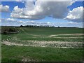 SU5031 : Farmland east of Easton Lane by Mr Ignavy