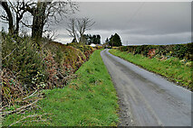 H4776 : Glenhordial Road, Glencordial by Kenneth  Allen