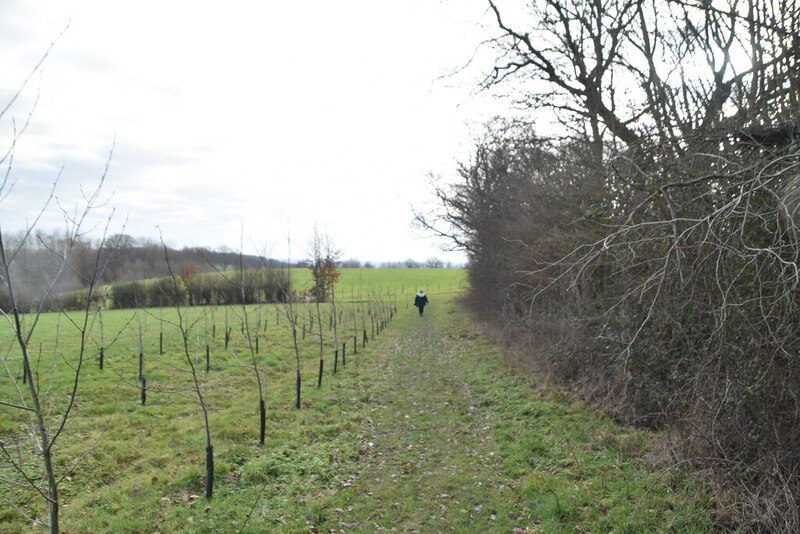 Footpath between new orchard and... © N Chadwick cc-by-sa/2.0 ...