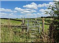 Path and gate at Bradley Farm