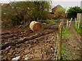 Mud, hay bale and footpath, Gildersome