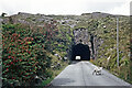 V9060 : Caha Pass at Turner's Rock Tunnel, Co Cork by Roger  D Kidd