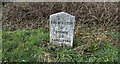 Milestone near Trebursye Oak, east of Tregadillett