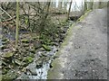 Chellow Dene beck