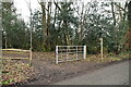 Footpath off Waghorns Lane