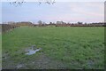 Farmland near Aston Clinton