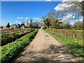 Byway near Collingham