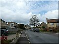 Approaching the junction of Budbury Place and Budbury Ridge