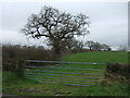 Field entrance off Manley Lane