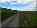 The rough road near Bwlch-y-maen-melyn