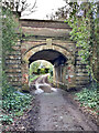 TQ1651 : Denbies east carriage drive railway bridge by Hugh Craddock