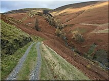 NY2825 : Autumn colours in the valley of Whit Beck by David Medcalf