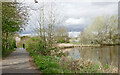 Lakeside path in Perton, Staffordshire