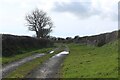 Stony track to Walterston