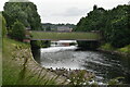 Wallness Bridge