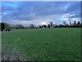 Pasture by Holy Trinity cemetery