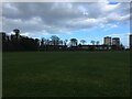 Rugby pitch at Seaton Park