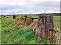 Aston Grange Trig Point