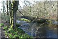 NY3603 : Bridge over the River Brathay by DS Pugh