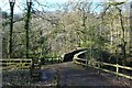NY3603 : Stone bridge over the River Brathay by DS Pugh