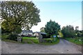 Churchstanton : Country Lane