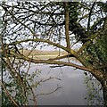 Flooding in Welches Meadow