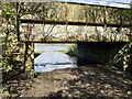 High tide at Blaydon Burn