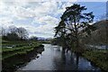 Downstream from Guardhouse Bridge