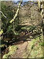 Stepping Stones across Ewe Crag Beck