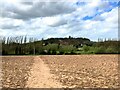 View Towards Breedon Hill