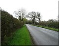 Minshull Lane heading east