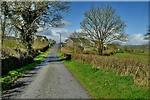 H3374 : Claragh Road by Kenneth  Allen