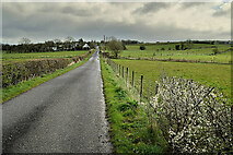 H3374 : Claragh Road, Carony by Kenneth  Allen