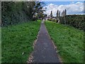 Path towards Adams Ridge