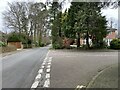 Avenue Road / Rosedene Gardens