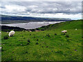 On the Wales Coast Path