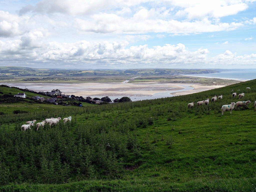 Grazing by Mynydd Bychan © John Lucas cc-by-sa/2.0 :: Geograph Britain ...