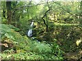 A waterfall on the stream at Oerddwr