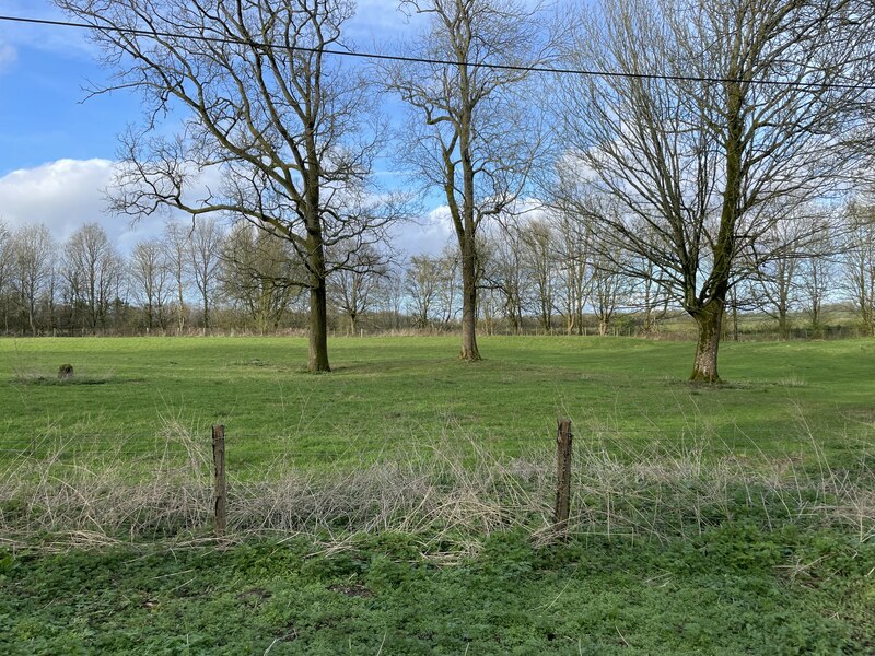 Field by Popham Court Lane © Mr Ignavy cc-by-sa/2.0 :: Geograph Britain ...