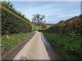 The lane to Acton Burnell from Kenley