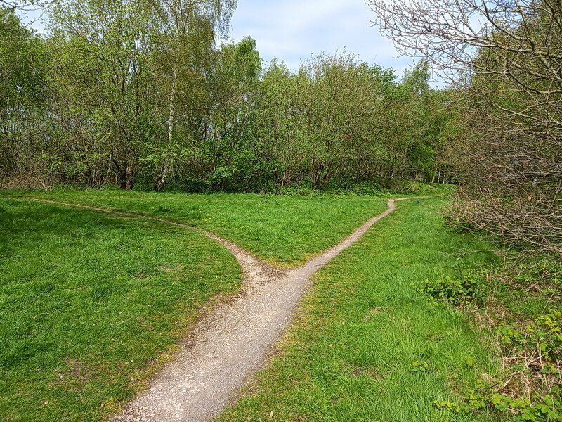 Path junction in the Millennium Wood © Richard Law cc-by-sa/2.0 ...