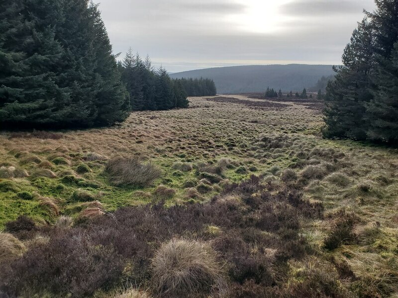 Forest Ride © Sarah Dalrymple cc-by-sa/2.0 :: Geograph Britain and Ireland