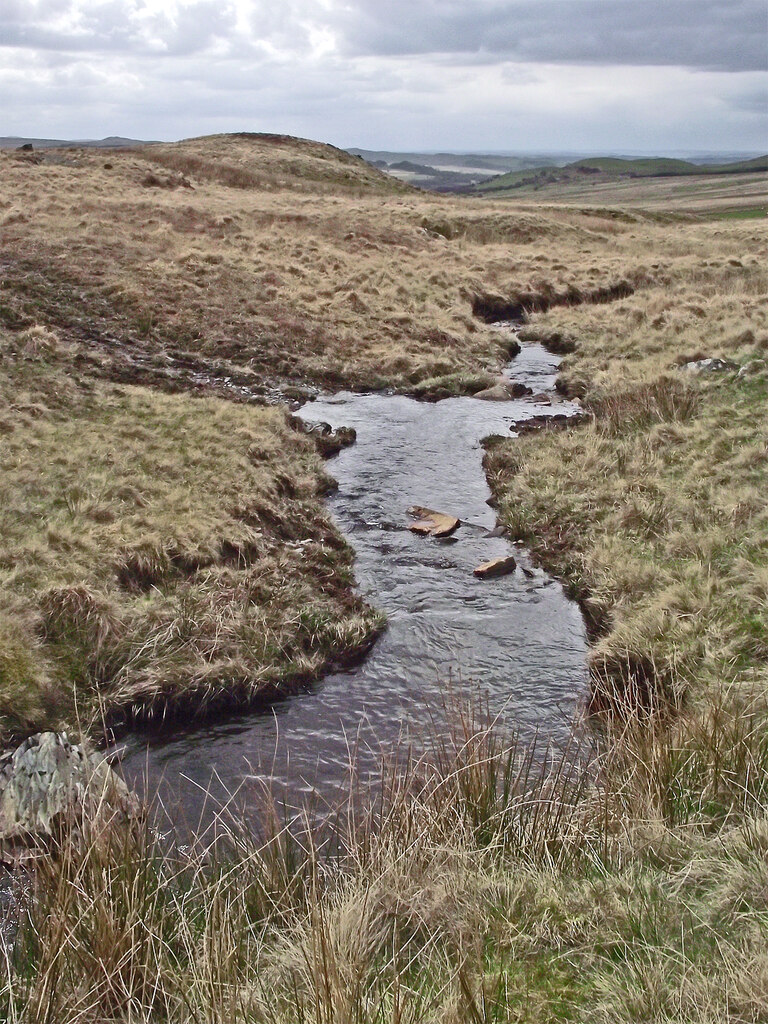 Nant Rhydol, east of Ffair Rhos in... © Roger D Kidd cc-by-sa/2.0 ...